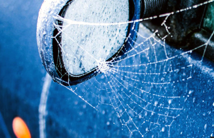 Preventive Measures To Keep Spiders Out Of Your Car