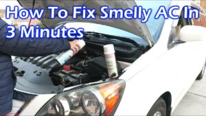 Why Does My Car Ac Smell Like Pee: Causes And Fixes