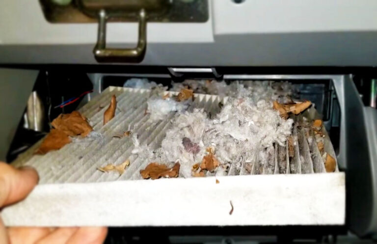 How Do You Keep Mice Out of a Car Cabin Filter