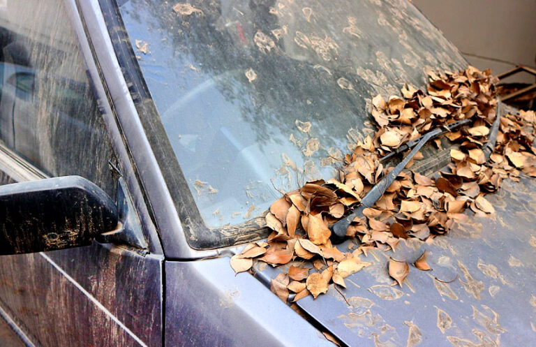 How to Remove And Prevent Tree Sap on a Car
