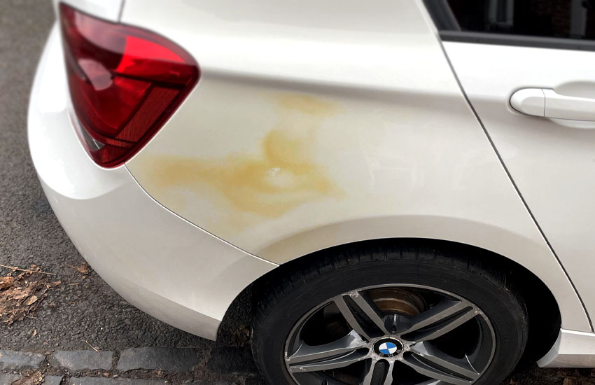 How to Remove Yellow Stains from White Car Paint