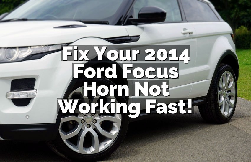 Fix Your 2014 Ford Focus Horn Not Working Fast!