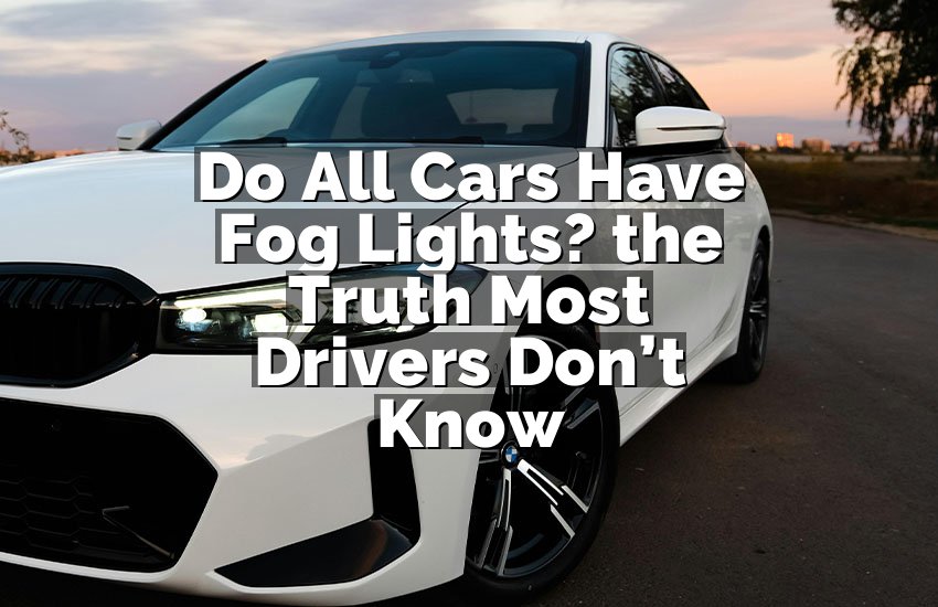 Do All Cars Have Fog Lights? the Truth Most Drivers Don’t Know