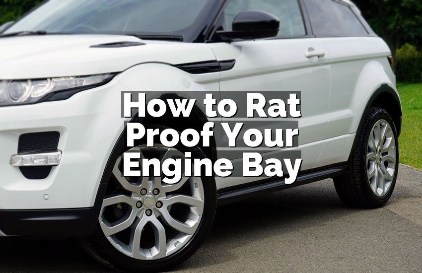 How to Rat Proof Your Engine Bay